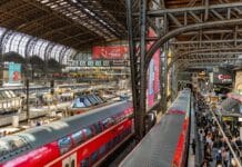 Addo Elephant Park – Raj dla miłośników słoni