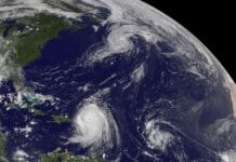 Przyroda Afryki w filmach i dokumentach