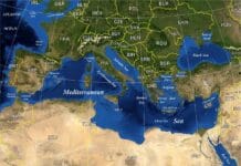 Świt na sawannie – jak wygląda poranek w dziczy?