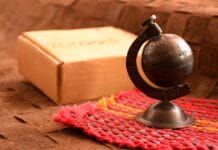 Luksusowe safari: gdzie przeżyć je w stylu premium?